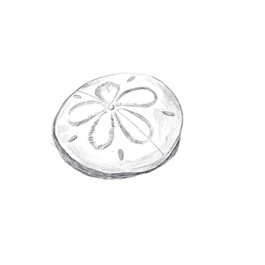 Frame It Wright Photography